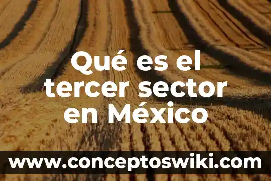 Que es el tercer relaciona en las contribuciones 4 Qué es el tercer sector en México