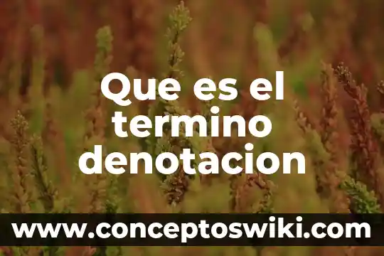 Qué es la filosofía en el término griego 7 Que es el termino denotacion