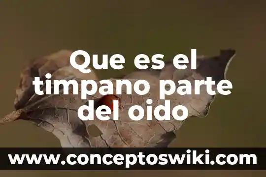 Parte de una flor que es el gineceo 6 Que es el timpano parte del oido