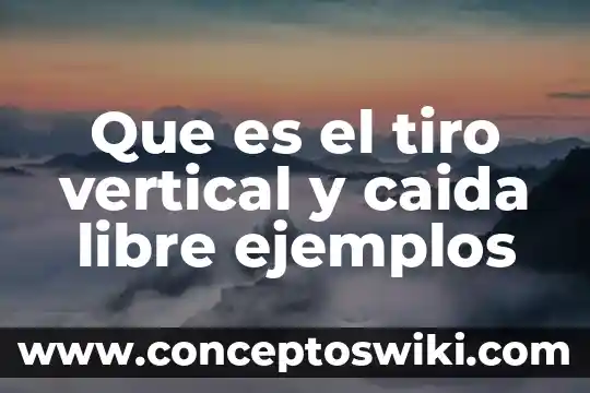 Qué es bueno para la caída del cabello y crecimiento 5 Que es el tiro vertical y caida libre ejemplos