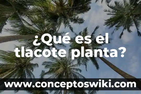 Que es el tallo de una planta y sus funciones 5 ¿Qué es el tlacote planta?
