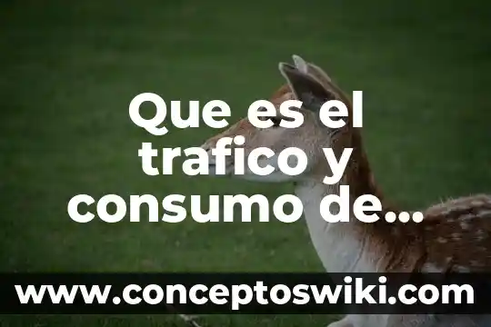 Que es la relevancia del problema del consumo de alcohol 5 Que es el trafico y consumo de drogas yahoo