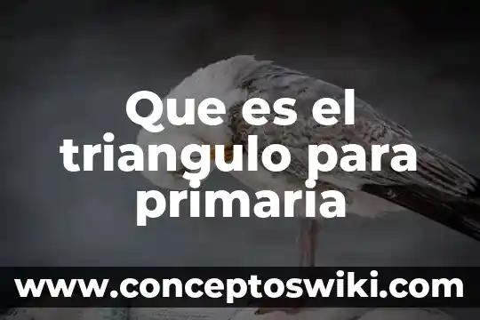 Que es una nota informativa ejemplo para niños de primaria 3 Que es el triangulo para primaria