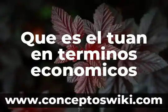 Que es administracion de recursos economicos 8 Que es el tuan en terminos economicos