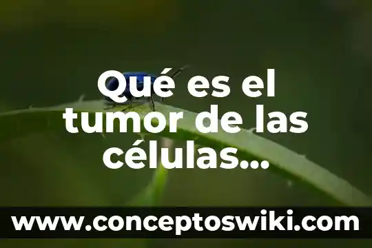 Que es tumor primario de mama? 5 Qué es el tumor de las células cebadas