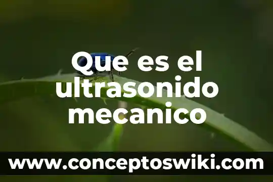 Qué es ultrasonido en tecnología de alimentos 4 Que es el ultrasonido mecanico
