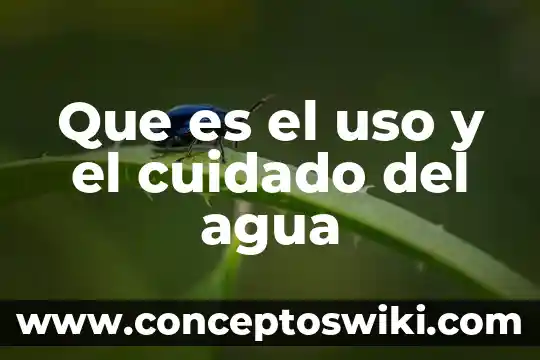 Qué es el cuidado según la etimología 5 Que es el uso y el cuidado del agua