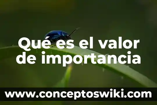 Qué es el valor DMX 512 8 Qué es el valor de importancia