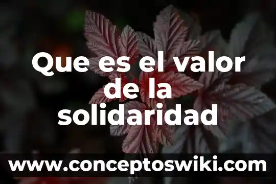 Qué es el valor DMX 512 3 Que es el valor de la solidaridad
