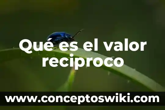 Que es un número reciproco 4 Qué es el valor reciproco