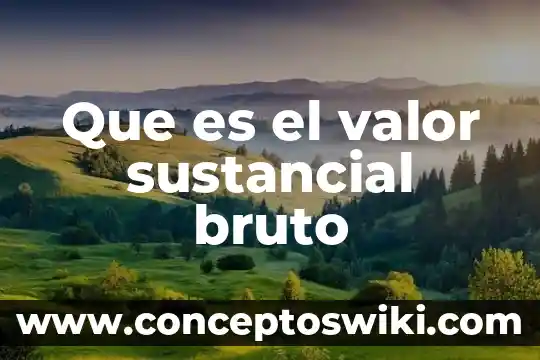 Que es valor original en af 8 Que es el valor sustancial bruto