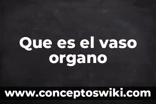 Vaso de lago que es 6 Que es el vaso organo