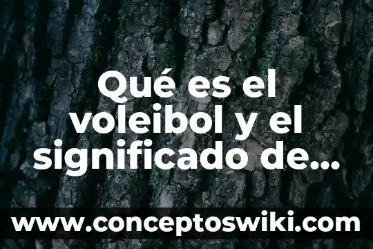 Que es comodante significado 6 Qué es el voleibol y el significado de los números
