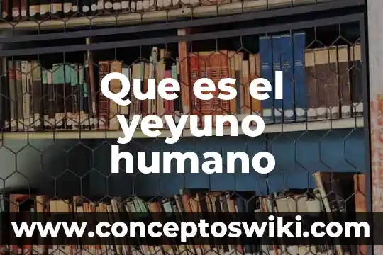 Qué es el tejido epitelial humano 3 Que es el yeyuno humano