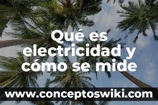 Que es una carga electrica y en que se mide 8 Qué es electricidad y cómo se mide