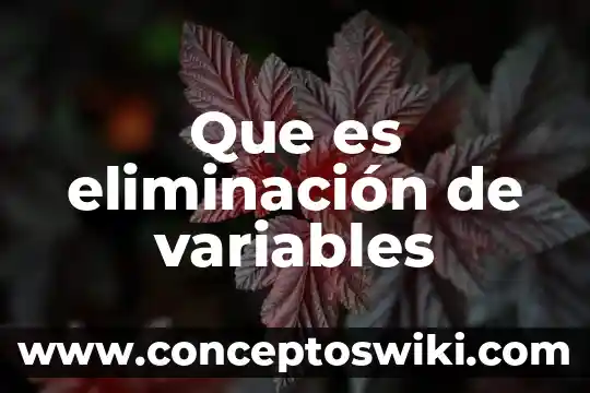 Que es el nombre y cuantas variables exiten gramaticales 7 Que es eliminación de variables