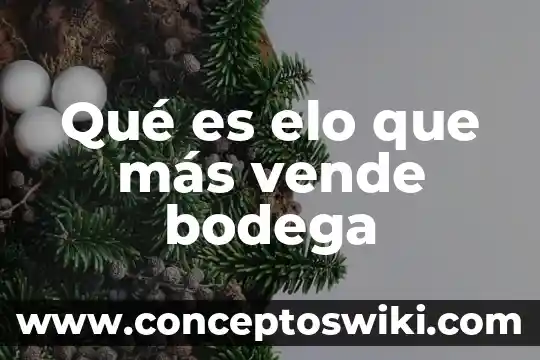 Qué es bodega su significado 6 Qué es elo que más vende bodega