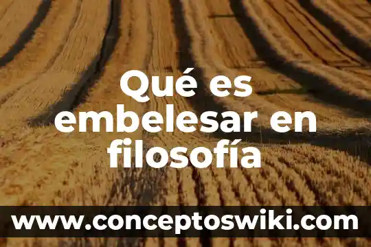 Que es legislar en filosofia 8 Qué es embelesar en filosofía