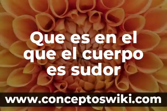 Que es el sodio en el cuerpo humano 7 Que es en el que el cuerpo es sudor