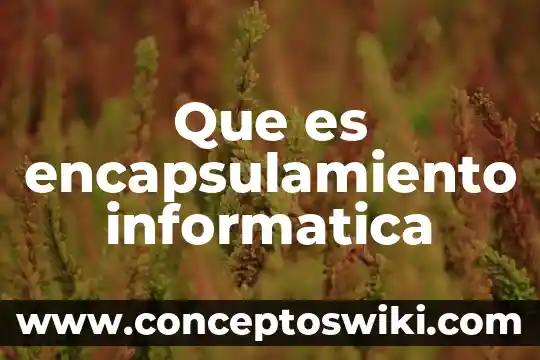 Std que es informatica 8 Que es encapsulamiento informatica
