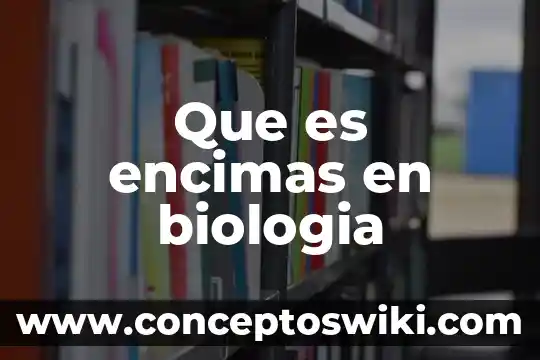 Qué es la bomba sodio potasio en biología 5 Que es encimas en biologia