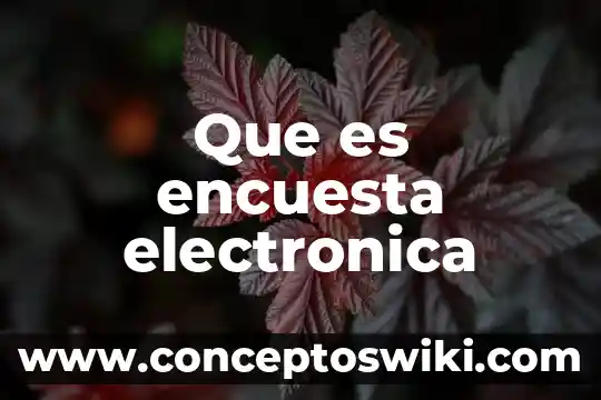 Por que es necesario la firma electrónica sat 8 Que es encuesta electronica