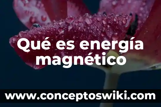 Qué es campo o espectro magnético 7 Qué es energía magnético
