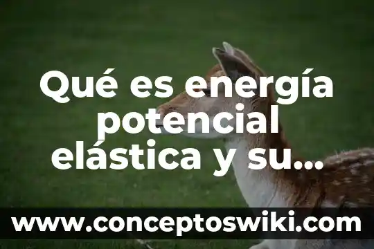 Que es h en una formula fisica 8 Qué es energía potencial elástica y su fórmula