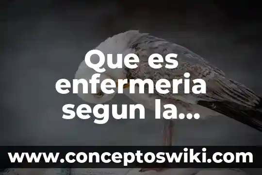 Que es el nombre oficial de mexico 6 Que es enfermeria segun la norma oficial mexicana 019