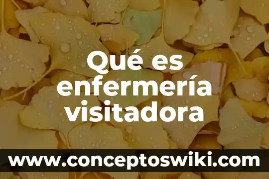Qué es intermitente en enfermería 5 Qué es enfermería visitadora