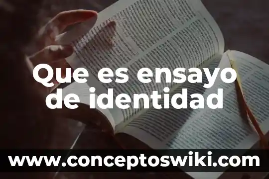 Que es una identidad tipos de contabilidad 4 Que es ensayo de identidad