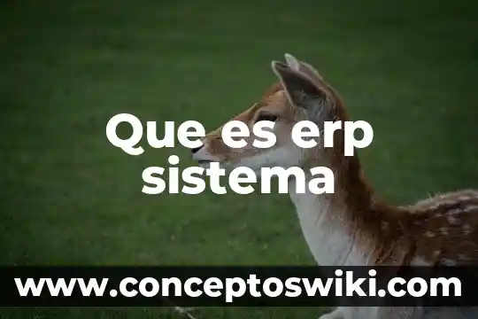 Que es un sistema rotatorio adaptativo 8 Que es erp sistema