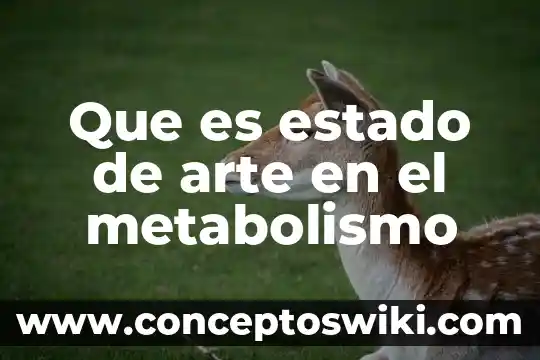 Qué es el amor introducción desarrollo y conclusión 6 Que es estado de arte en el metabolismo