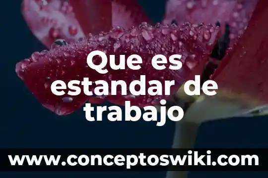 Muestreo del trabajo que es 4 Que es estandar de trabajo