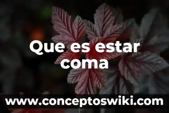 Qué es la representación de coma flotante 7 Que es estar coma