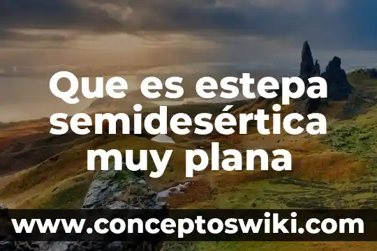 Que es una plana en corrección de estilo 3 Que es estepa semidesértica muy plana