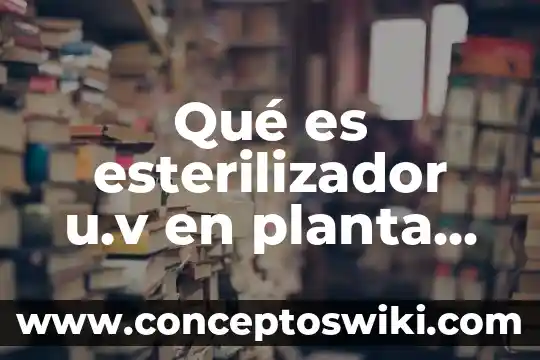 Que es el tallo de una planta y sus funciones 3 Qué es esterilizador u.v en planta purificadora