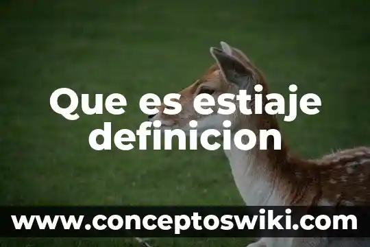 Que es un motorreductor definicion 8 Que es estiaje definicion