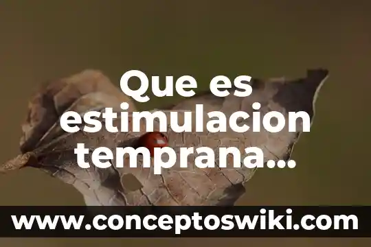 Que es el embarazo a temprana edad definicion 3 Que es estimulacion temprana psicologia