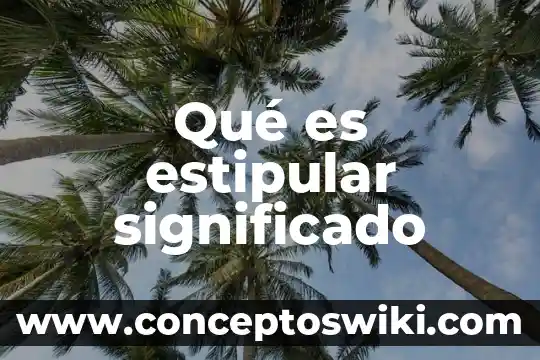 Por lo que es menester significado 4 Qué es estipular significado