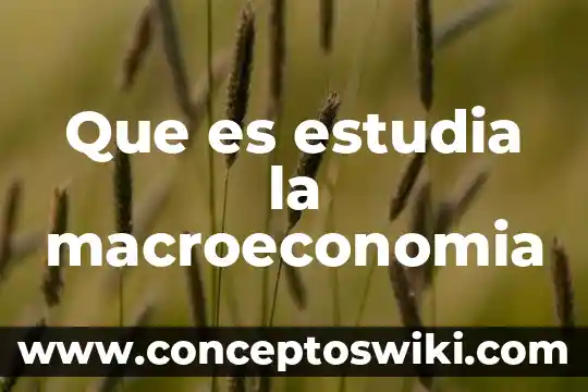 Que es la hidrostatica y que estudia 3 Que es estudia la macroeconomia