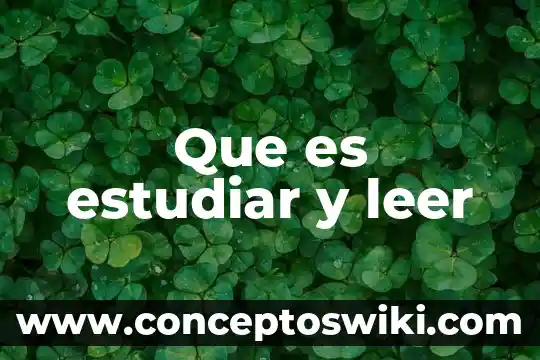 Por que es importante estudiar la etimología 5 Que es estudiar y leer