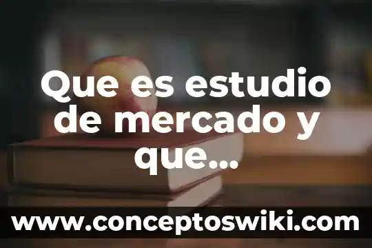 Segmentaion de mercado diferenciada que es 3 Que es estudio de mercado y que investigacion de mercado