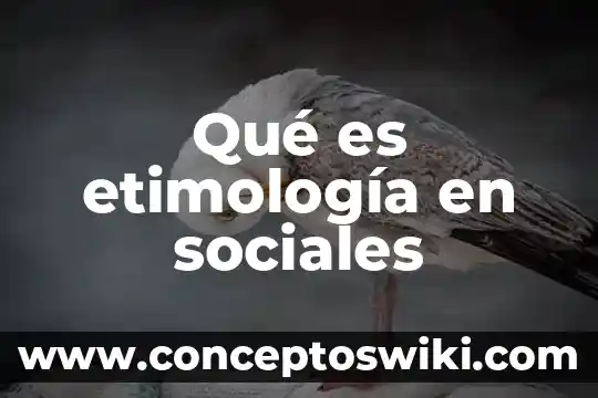 Por que es buena la publicidad en redes sociales 5 Qué es etimología en sociales
