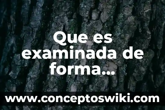 Que es word power point excel 6 Que es examinada de forma individual ventana power point