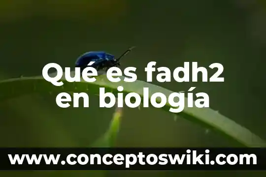 Que es nombre bulgar en biologia 7 Qué es fadh2 en biología