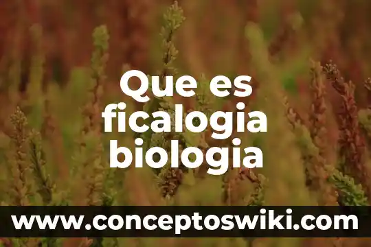 Qué es un fagosoma en biología 5 Que es ficalogia biologia