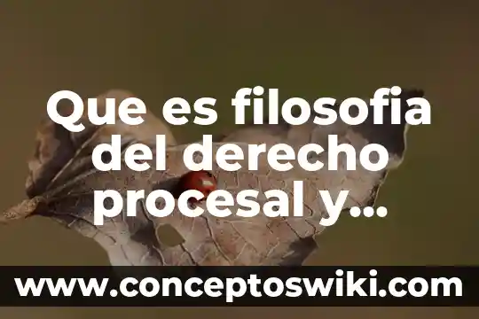 Que es la recusion procesal 7 Que es filosofia del derecho procesal y probatorio