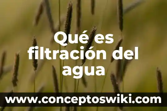 Que es el metodo de la filtracion 6 Qué es filtración del agua