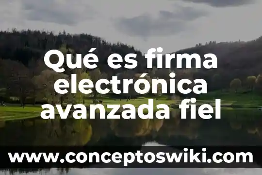 Que es memoria en electronica 3 Qué es firma electrónica avanzada fiel